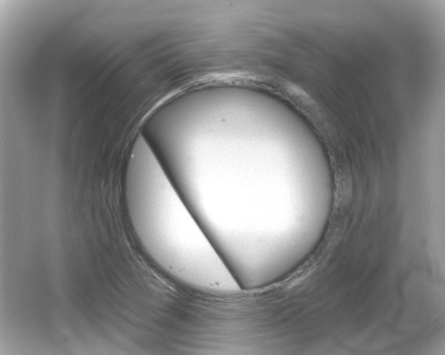 X0000066531361200603171018
