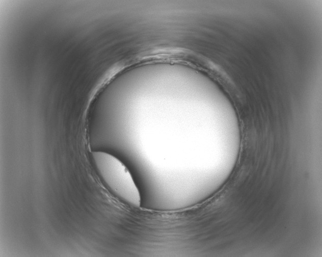 X0000066531362200603171018