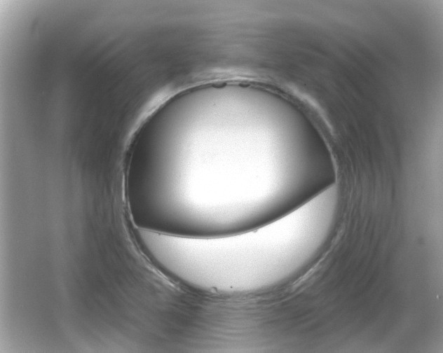X0000066531365200603171018