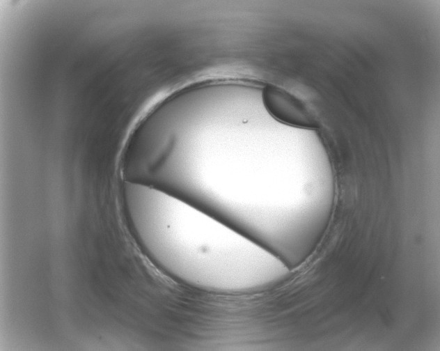 X0000066531366200603171018