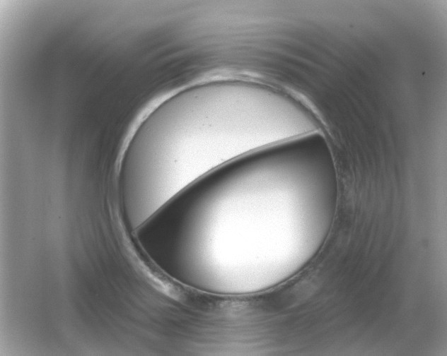 X0000066531371200603171018
