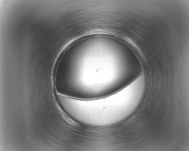 X0000066531372200603171018