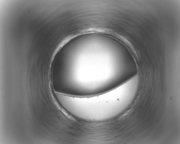 X0000066531373200603171018