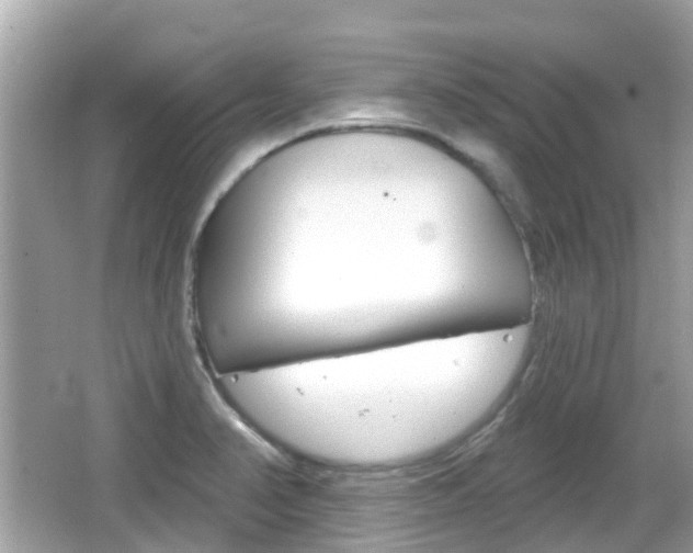 X0000066531374200603171018
