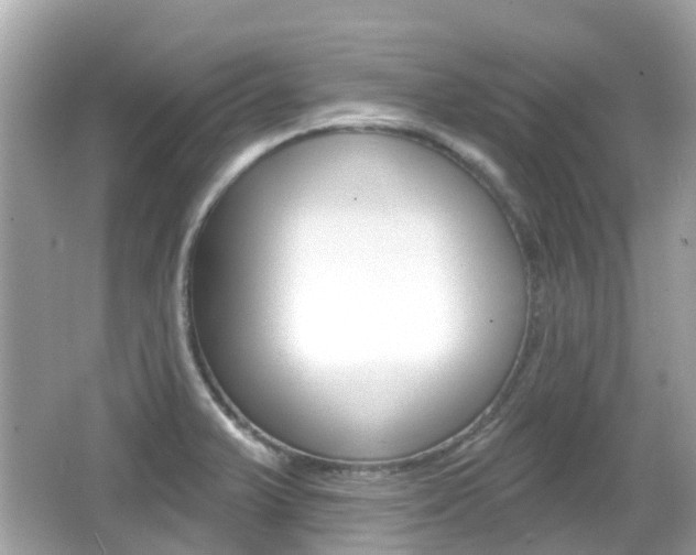 X0000066531375200603171018
