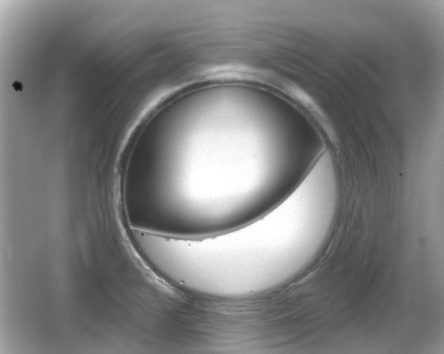 X0000066531376200603171018