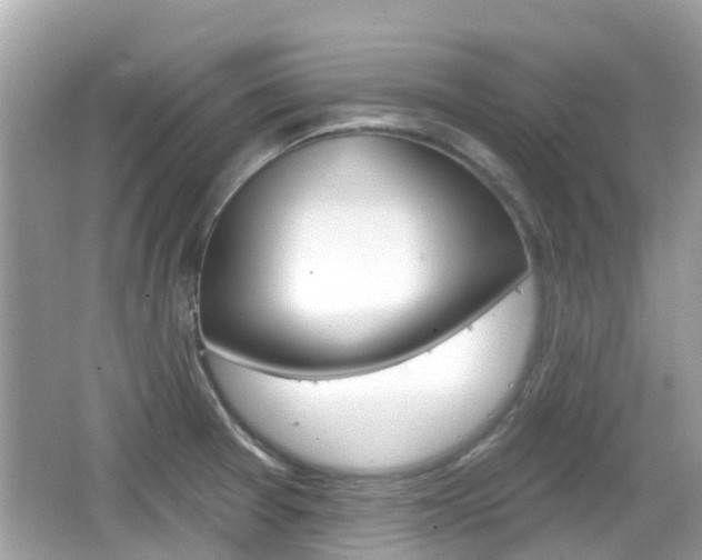 X0000066531377200603171018