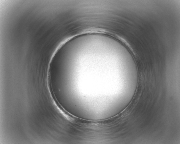 X0000066531379200603171018