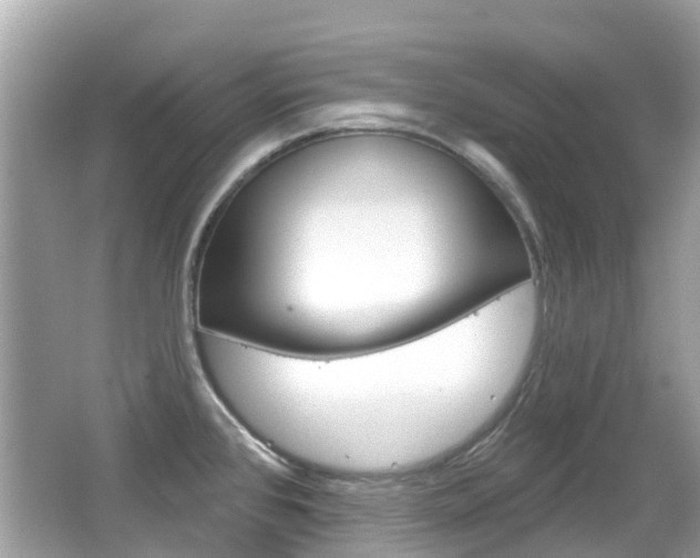 X0000066531384200603171018