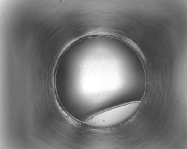 X0000066531388200603171018
