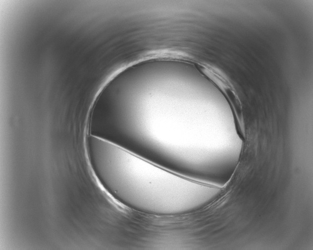 X0000066531391200603171018
