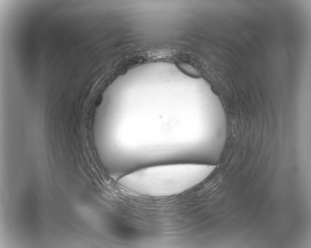 X0000066531393200603171017