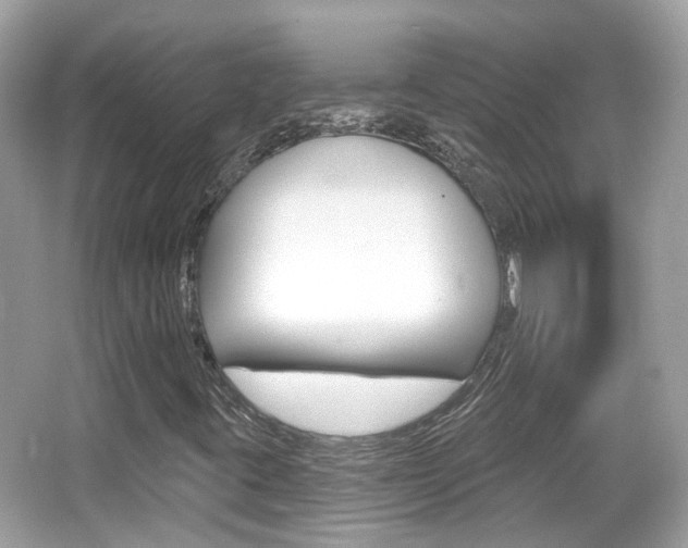 X0000066531395200603171017