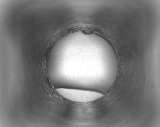 X0000066531397200603171017