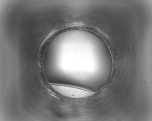 X0000066531400200603171017