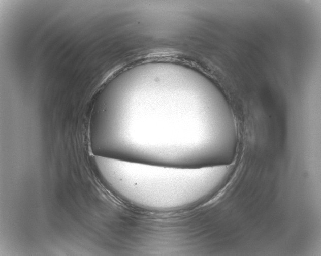 X0000066531401200603171017
