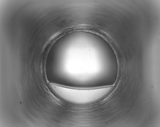 X0000066531402200603171017