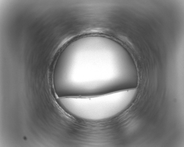 X0000066531404200603171017