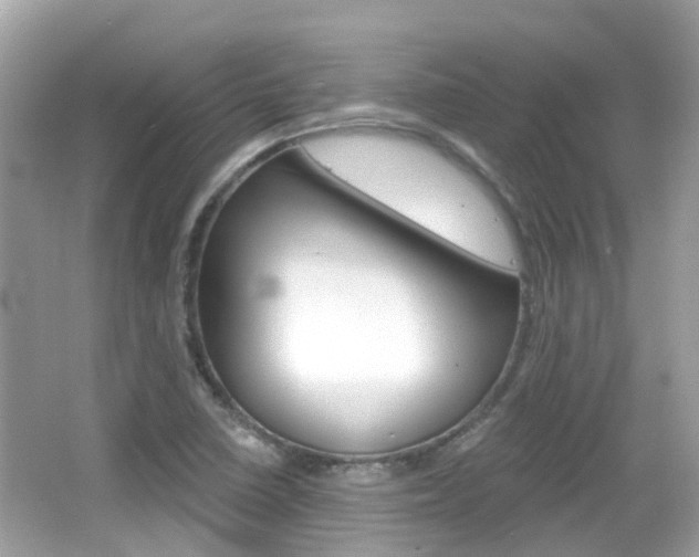 X0000066531410200603171017