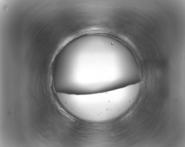 X0000066531413200603171017