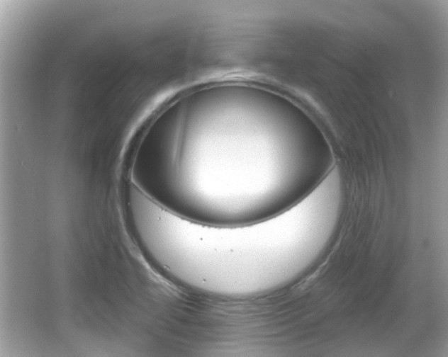 X0000066531414200603171017