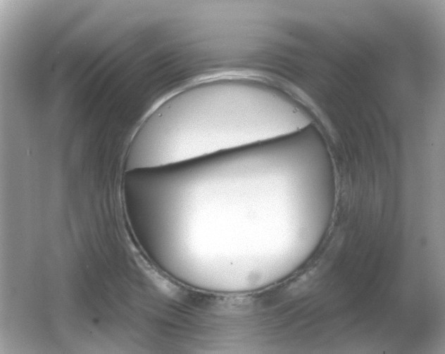 X0000066531417200603171017