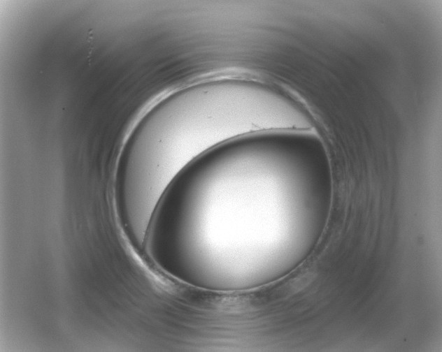 X0000066531418200603171017