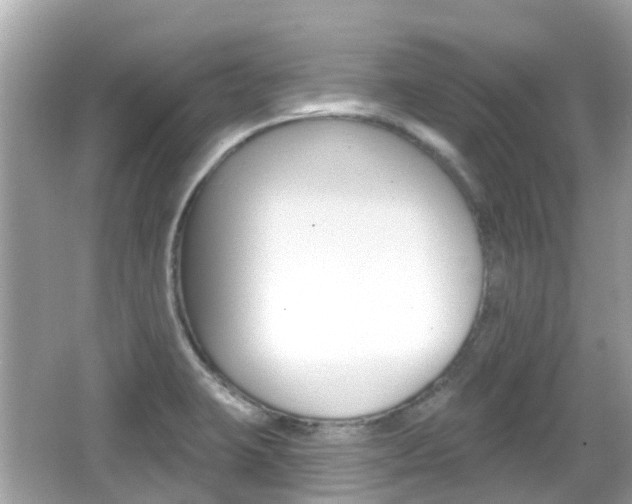 X0000066531423200603171018