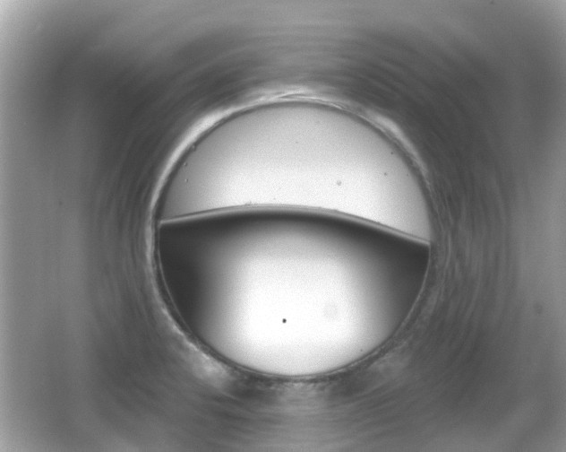 X0000066531424200603171018