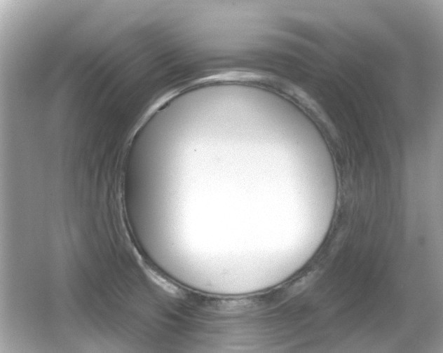 X0000066531425200603171018