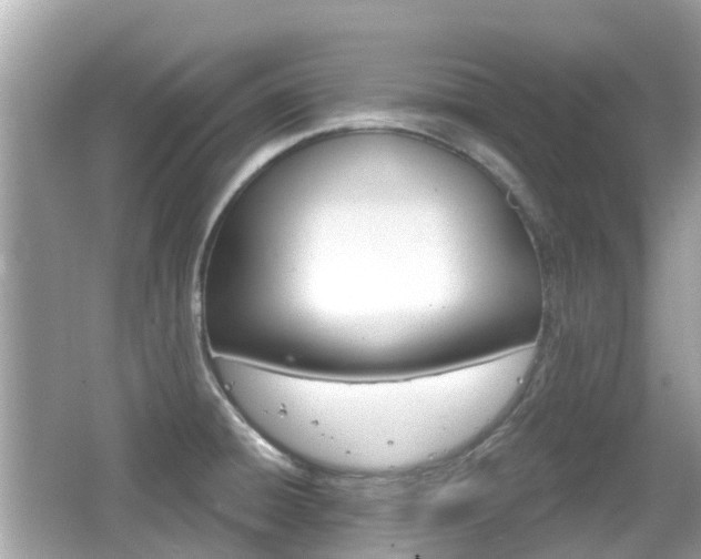 X0000066531428200603171018
