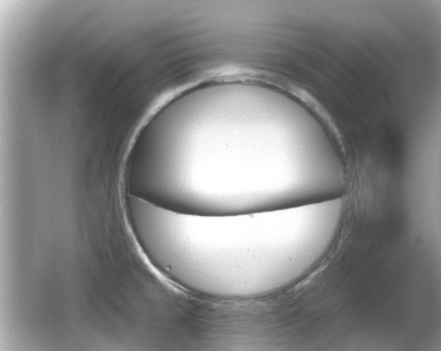 X0000066531429200603171018