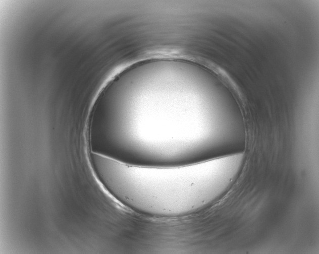 X0000066531432200603171018