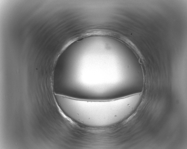 X0000066531433200603171018