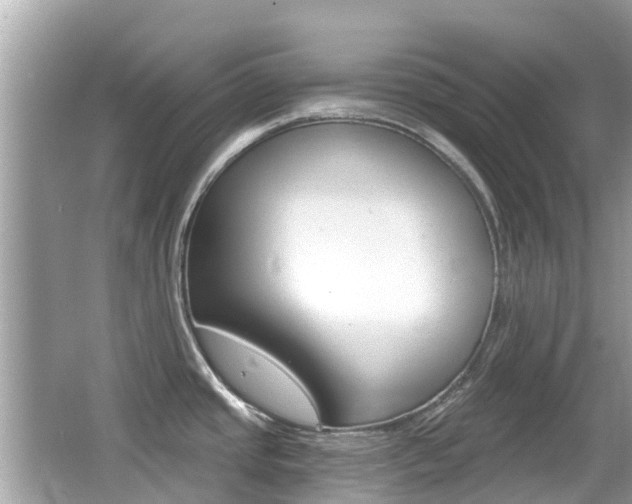 X0000066531437200603171018