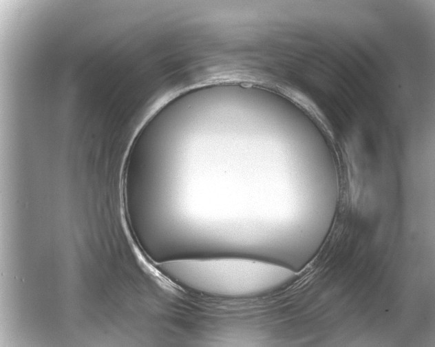 X0000066531439200603171018
