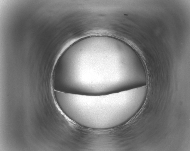 X0000066531440200603171018