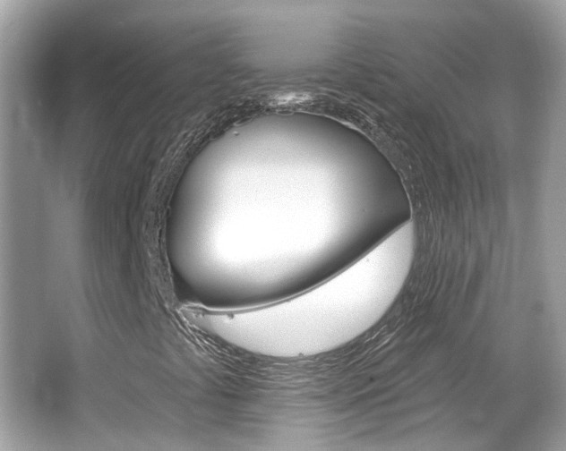 X0000066531441200603171017