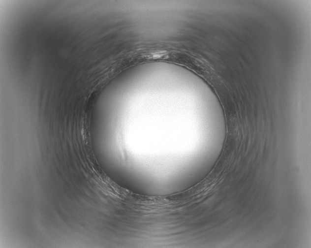 X0000066531442200603171017