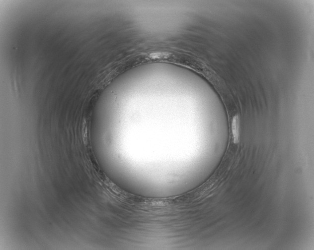 X0000066531443200603171017