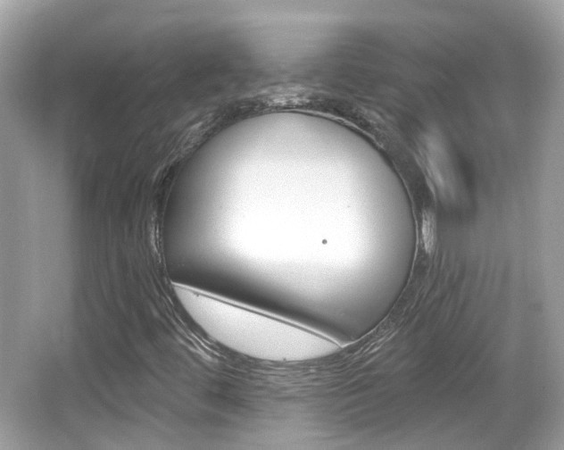 X0000066531444200603171017