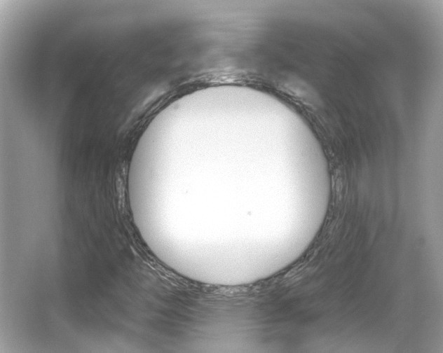 X0000066531446200603171017