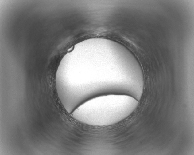 X0000066531447200603171017