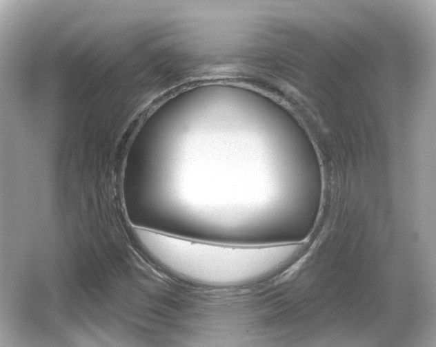 X0000066531449200603171017