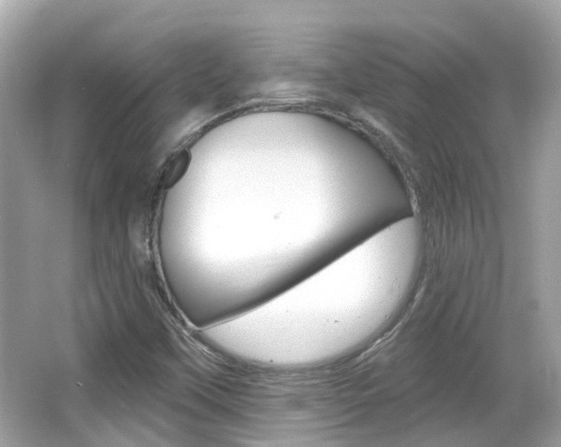 X0000066531451200603171017