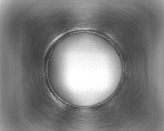 X0000066531452200603171017