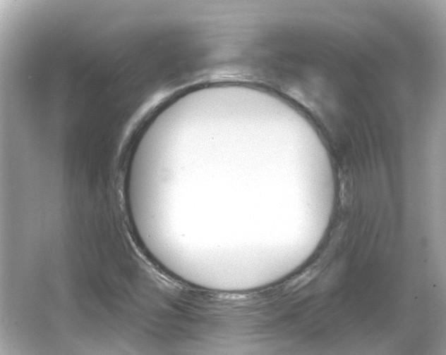 X0000066531454200603171017
