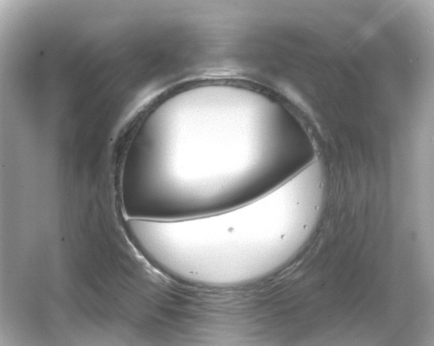 X0000066531456200603171017