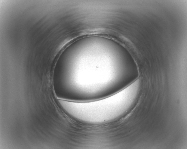 X0000066531457200603171017
