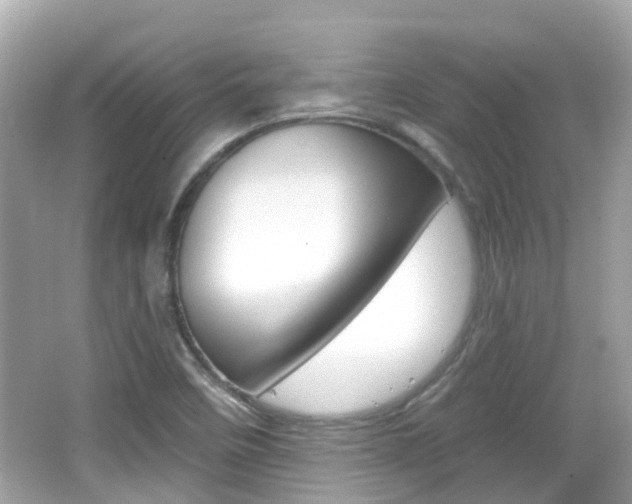X0000066531458200603171017
